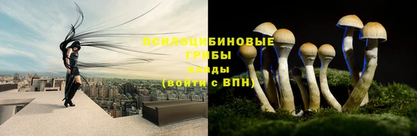 бошки Армянск
